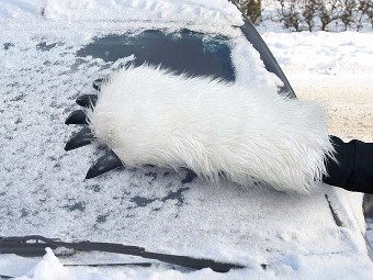 Passendes Geschenk fuer den Winter