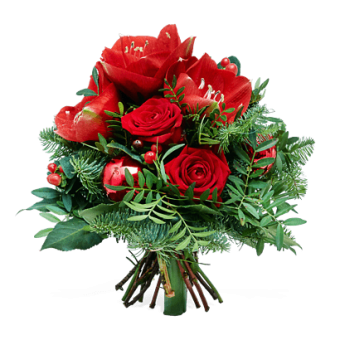 Weihnachtsblumen