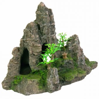 Aquarium Dekoration